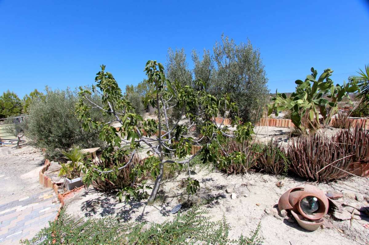 6 slaapkamer Villa te koop in Albudeite - € 320.000 (Ref: 8481251)