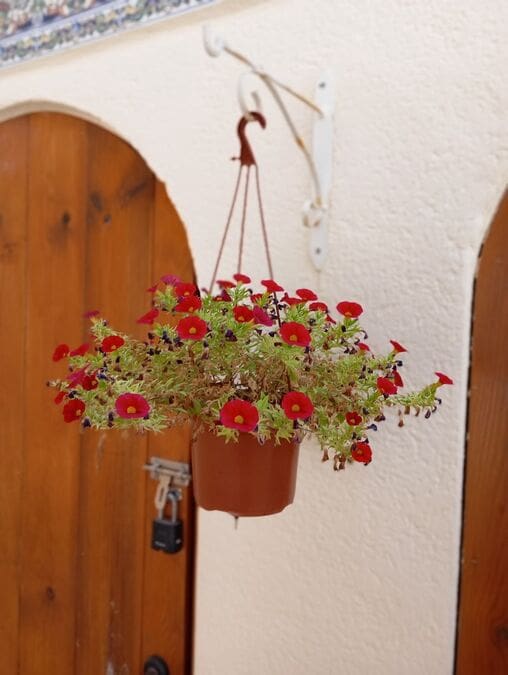 3 makuuhuone Huvila myytävänä paikassa Villamartin - 269 995 € (Ref: 9137690)