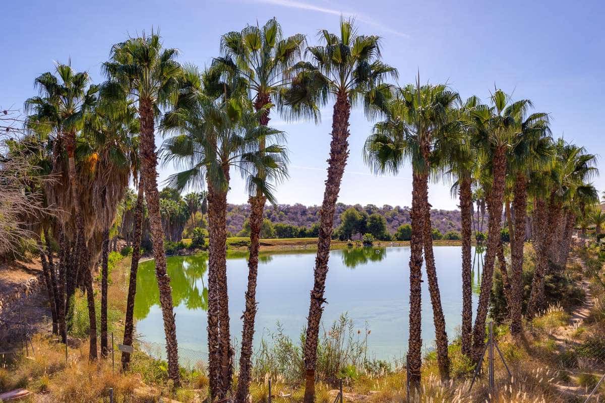 3 bedroom Villa for sale in Orihuela Costa - € 550,000 (Ref: 9283596)