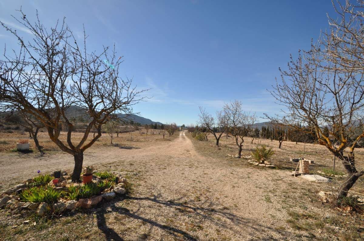 5 bedroom Villa for sale in Salinas - € 189,000 (Ref: 9834325)