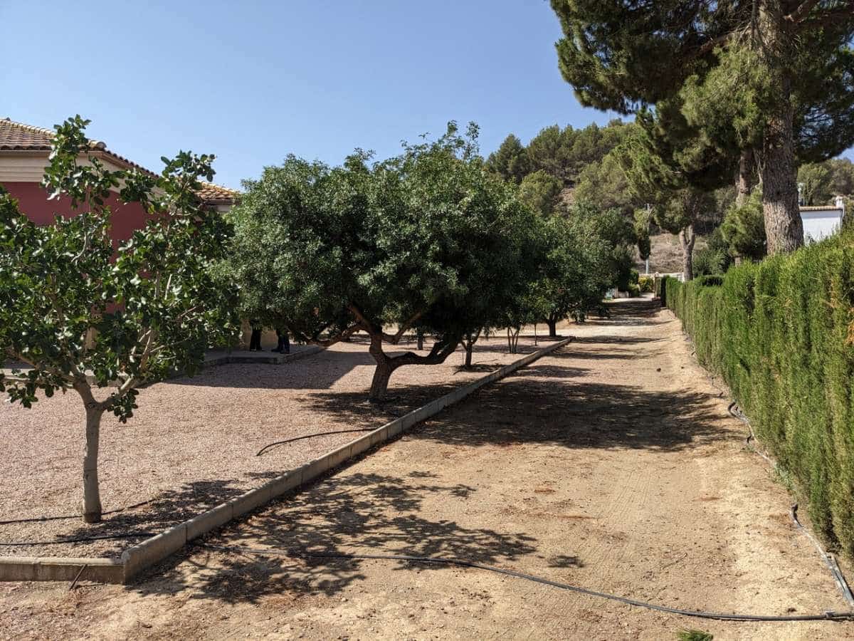 3 slaapkamer Villa te koop in Cehegin - € 360.000 (Ref: 9834413)