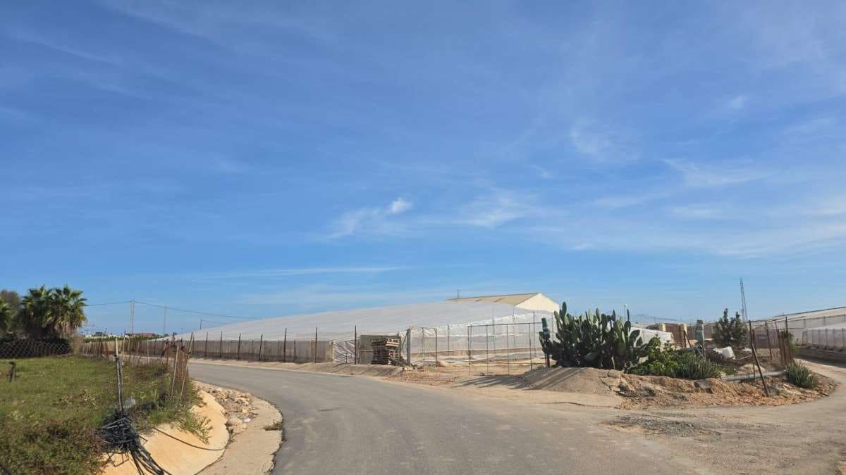 Commercieel te koop in Pilar de la Horadada - € 315.000 (Ref: 9834481)