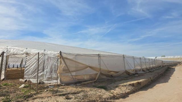 Commercieel te koop in Pilar de la Horadada - € 315.000 (Ref: 9834481)