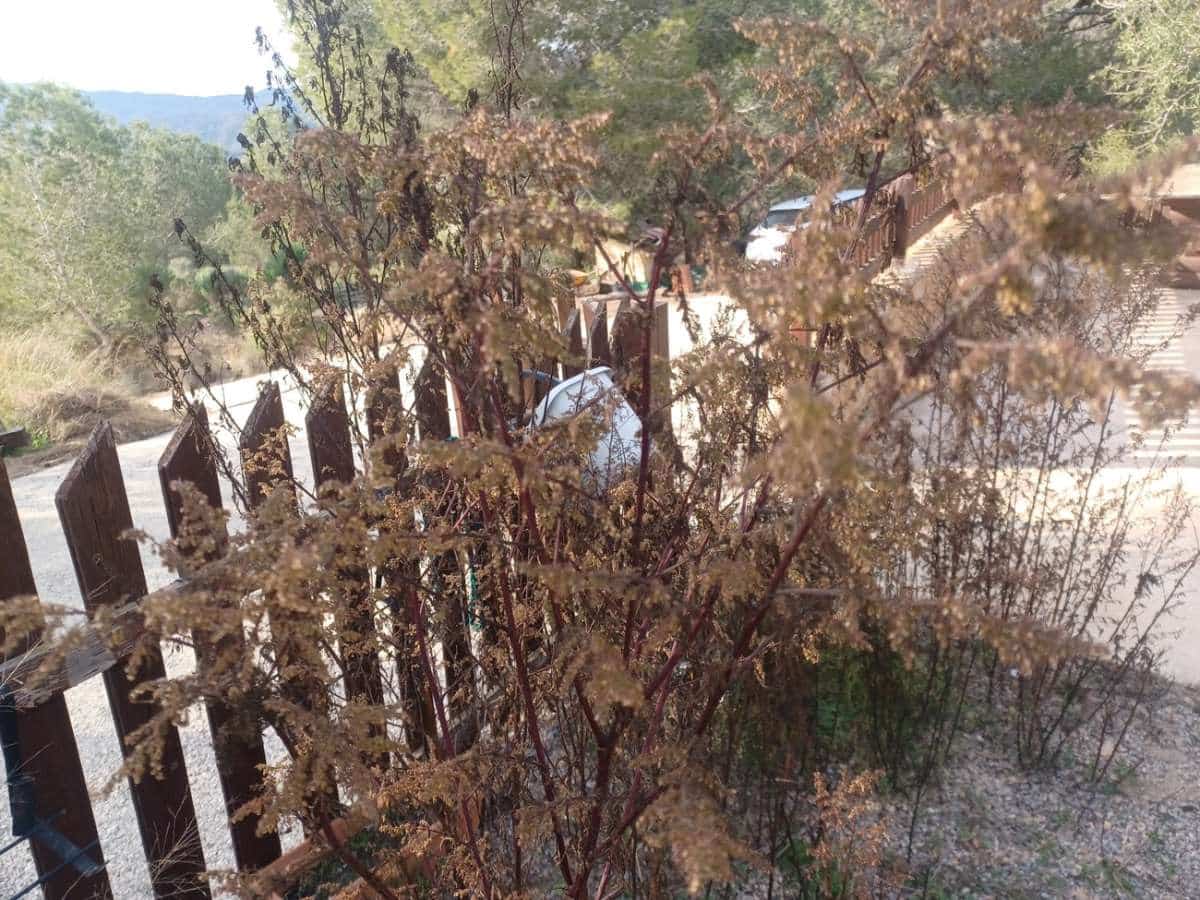 3 bedroom Finca/Country House for sale in Gea y Truyols - € 590,000 (Ref: 9834484)
