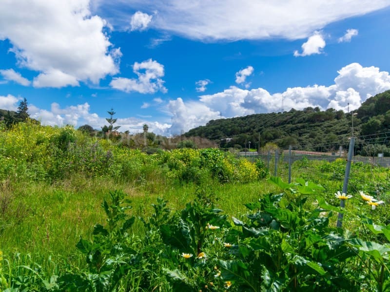 Bouwgrond te koop in Ferreries - € 231.000 (Ref: 8912141)