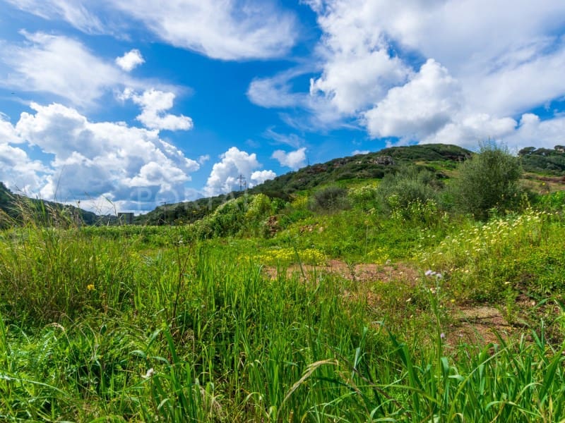 Bouwgrond te koop in Ferreries - € 407.000 (Ref: 8912142)