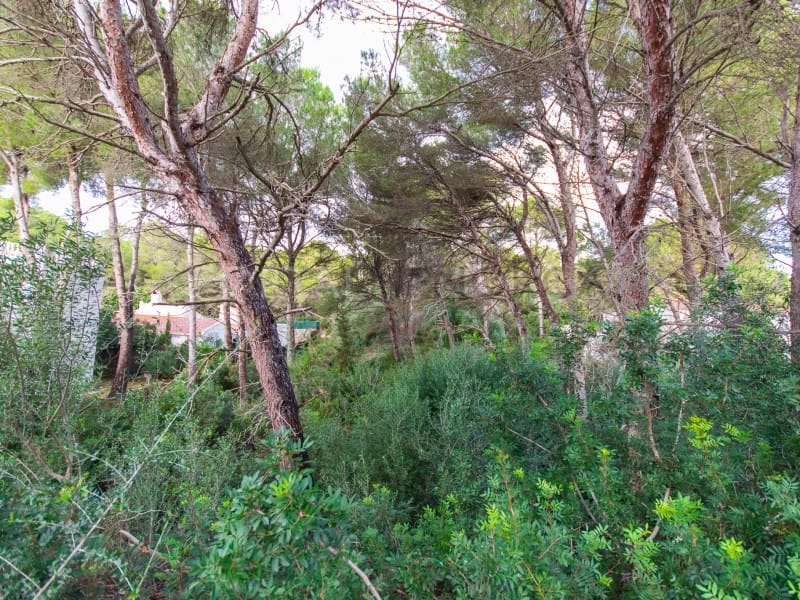 Building Plot for sale in Son Parc - € 175,000 (Ref: 9419940)