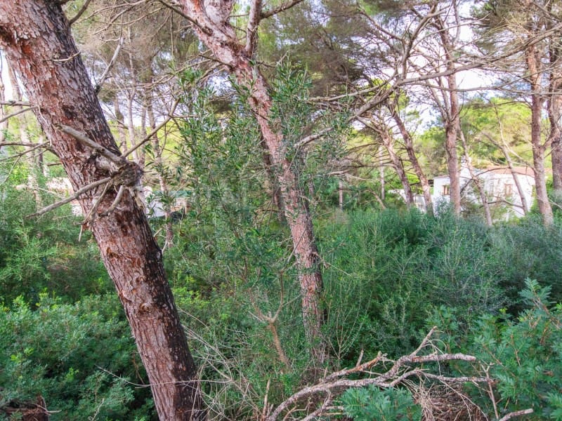 Building Plot for sale in Son Parc - € 175,000 (Ref: 9419940)
