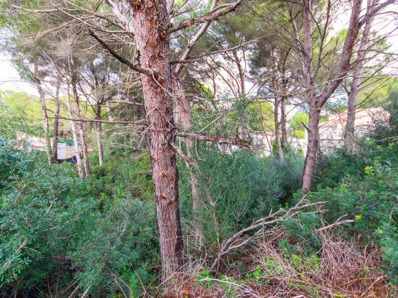 Building Plot for sale in Son Parc - € 175,000 (Ref: 9419940)