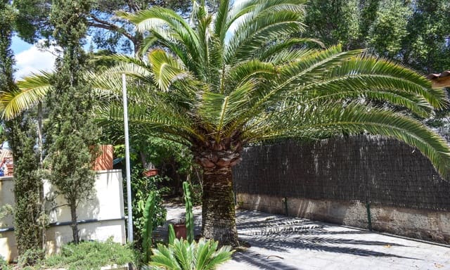 7 chambre Villa/Maison à vendre à Palmanova, Calvià avec piscine garage - 1 295 000 € (Ref: 6922271)