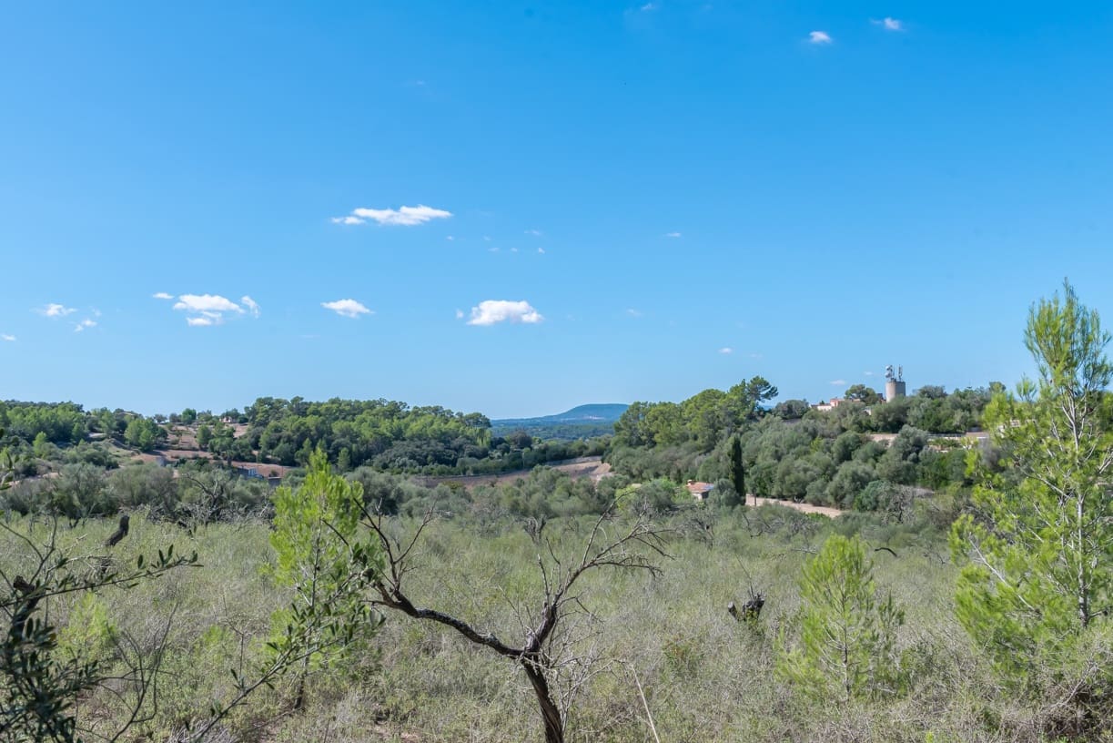 Byggetomt til salgs i Costitx - € 275 000 (Ref: 7882118)