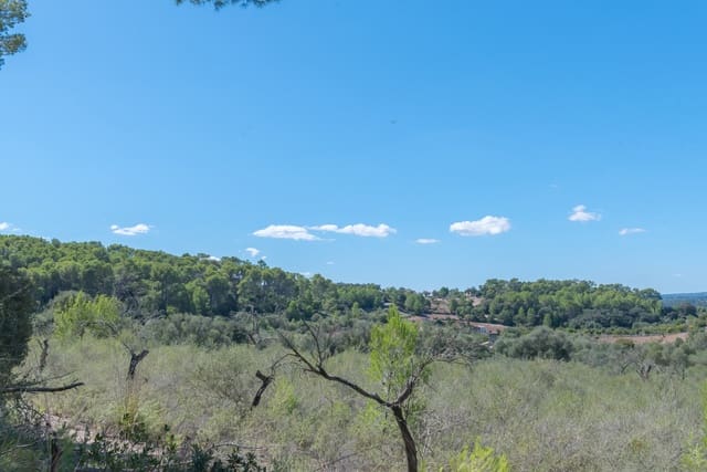 Tomt till salu i Costitx - 275 000 € (Ref: 7882118)