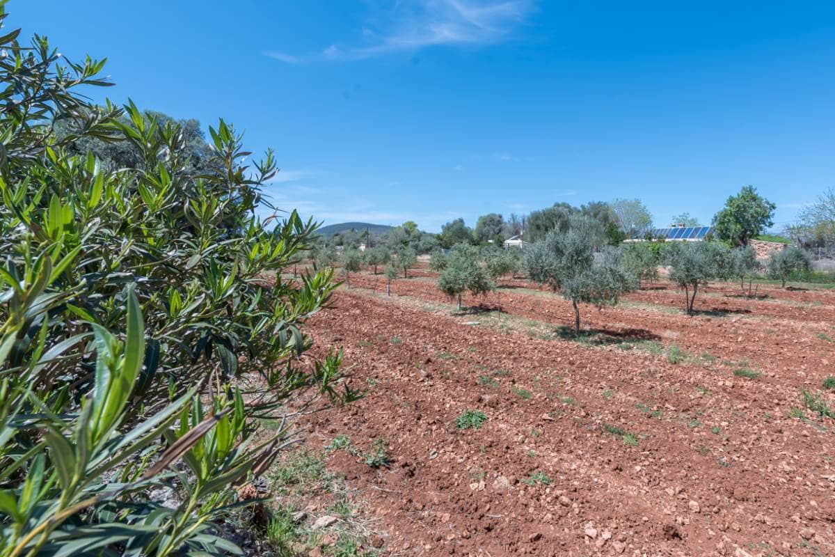 4 sypialnia Finka/Dom wiejski na sprzedaż w Sencelles z basenem garażem - 850 000 € (Ref: 9166473)