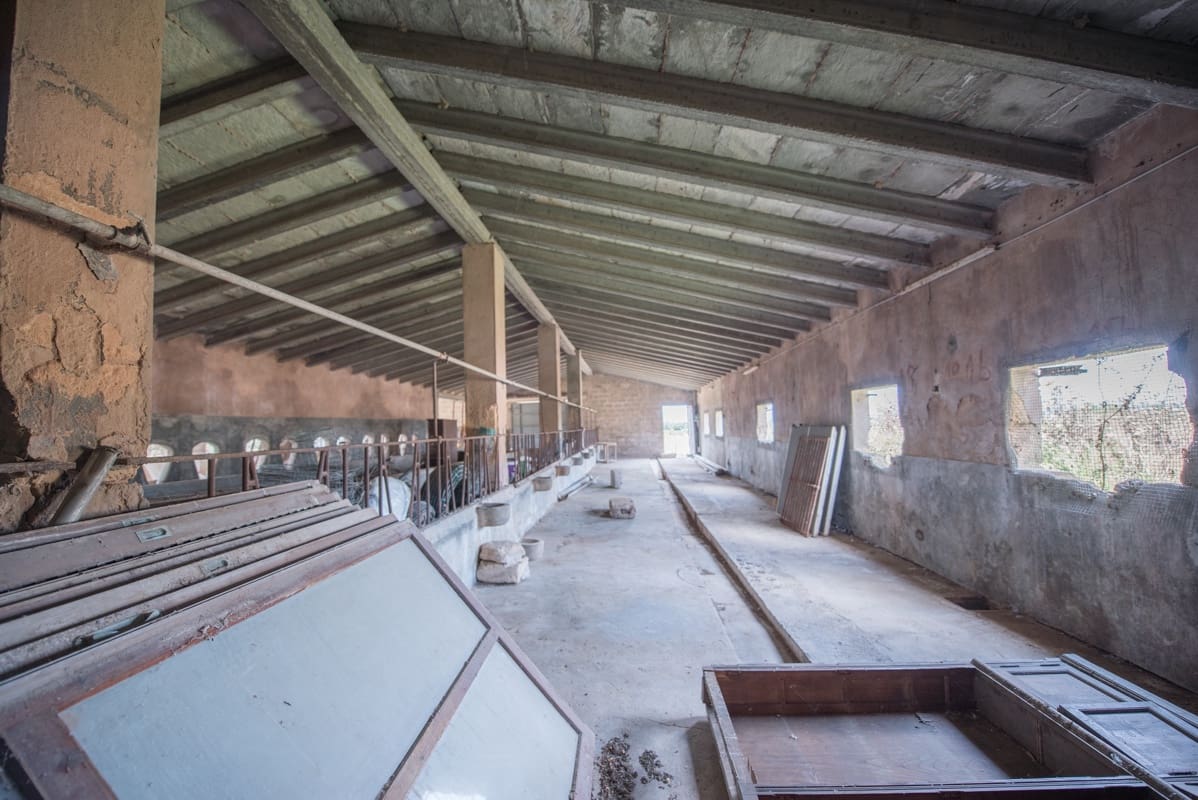 5 bedroom Finca/Country House for sale in Ariany - € 1,900,000 (Ref: 9620663)