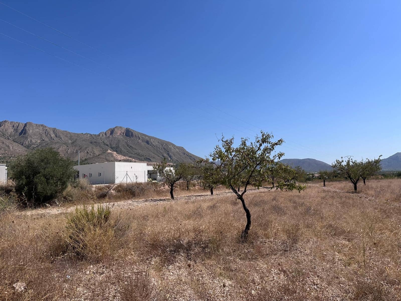 Landgrundstück zu verkaufen in Macisvenda - 49.995 € (Ref: 10007522)