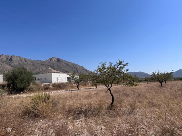 Landgrundstück zu verkaufen in Macisvenda, Abanilla - 49.995 € (Ref: 10007522)