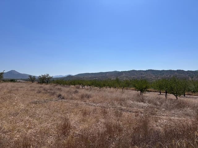 Landgrundstück zu verkaufen in Macisvenda, Abanilla - 49.995 € (Ref: 10007522)