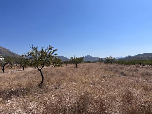 Landgrundstück zu verkaufen in Macisvenda, Abanilla - 49.995 € (Ref: 10007522)