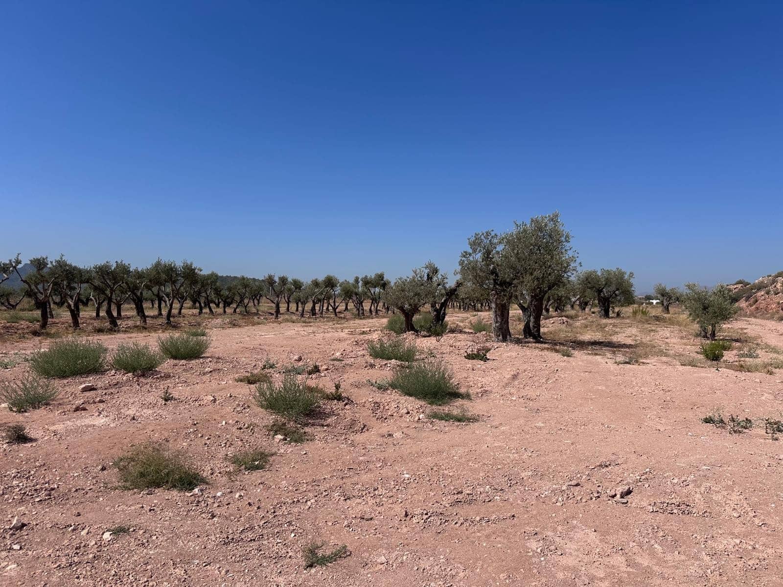 Landgrundstück zu verkaufen in Macisvenda - 184.995 € (Ref: 10007523)