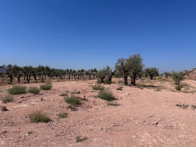 Landgrundstück zu verkaufen in Macisvenda, Abanilla - 184.995 € (Ref: 10007523)