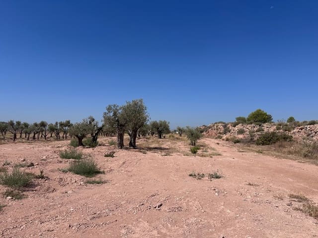 Landgrundstück zu verkaufen in Macisvenda, Abanilla - 184.995 € (Ref: 10007523)