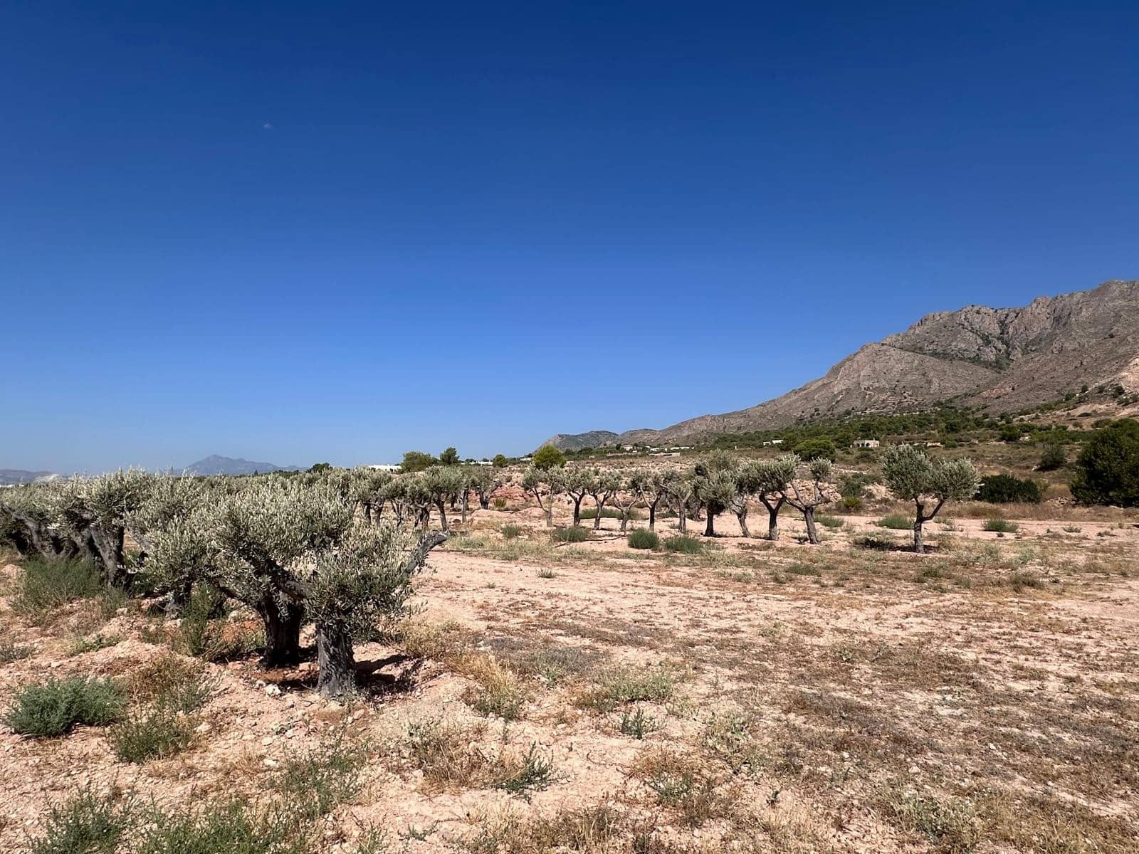 Landgrundstück zu verkaufen in Macisvenda - 184.995 € (Ref: 10007523)