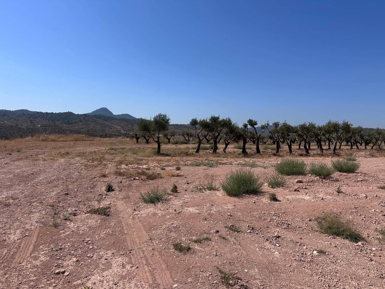 Landgrundstück zu verkaufen in Macisvenda - 184.995 € (Ref: 10007523)