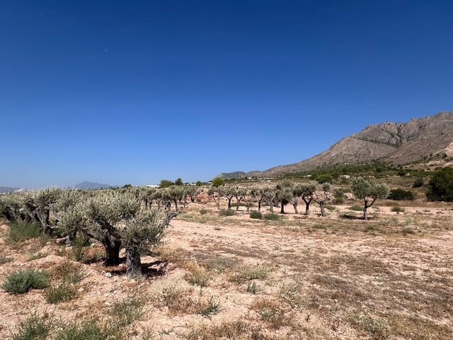 Landgrundstück zu verkaufen in Macisvenda, Abanilla - 184.995 € (Ref: 10007523)
