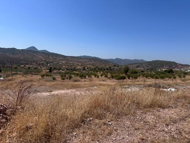 Landgrundstück zu verkaufen in Macisvenda, Abanilla - 184.995 € (Ref: 10007523)