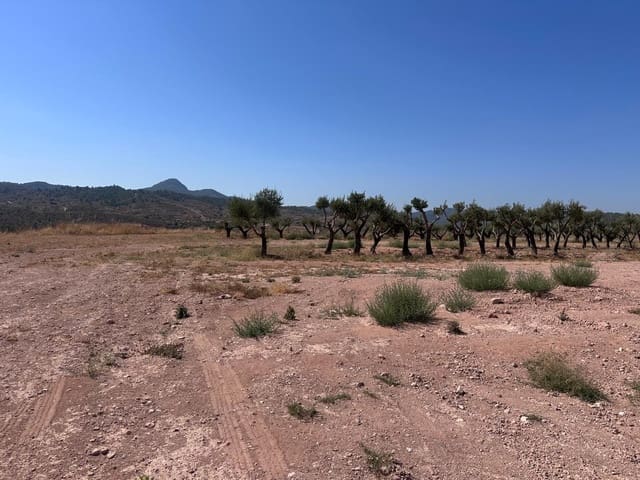 Landgrundstück zu verkaufen in Macisvenda, Abanilla - 184.995 € (Ref: 10007523)