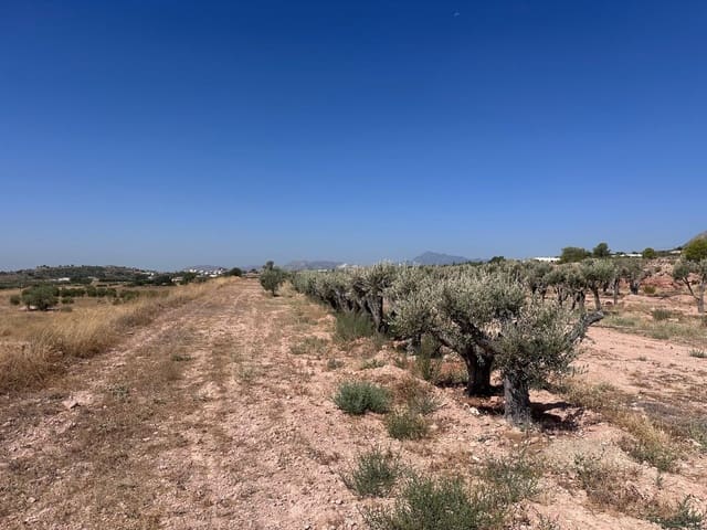 Landgrundstück zu verkaufen in Macisvenda, Abanilla - 184.995 € (Ref: 10007523)