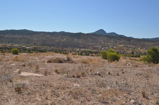 Landgrundstück zu verkaufen in Macisvenda, Abanilla - 184.995 € (Ref: 10007523)