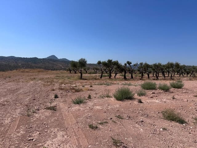 Mark till salu i Macisvenda, Abanilla - 184 995 € (Ref: 10007523)
