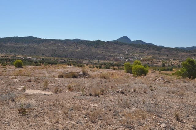 Mark till salu i Macisvenda, Abanilla - 184 995 € (Ref: 10007523)
