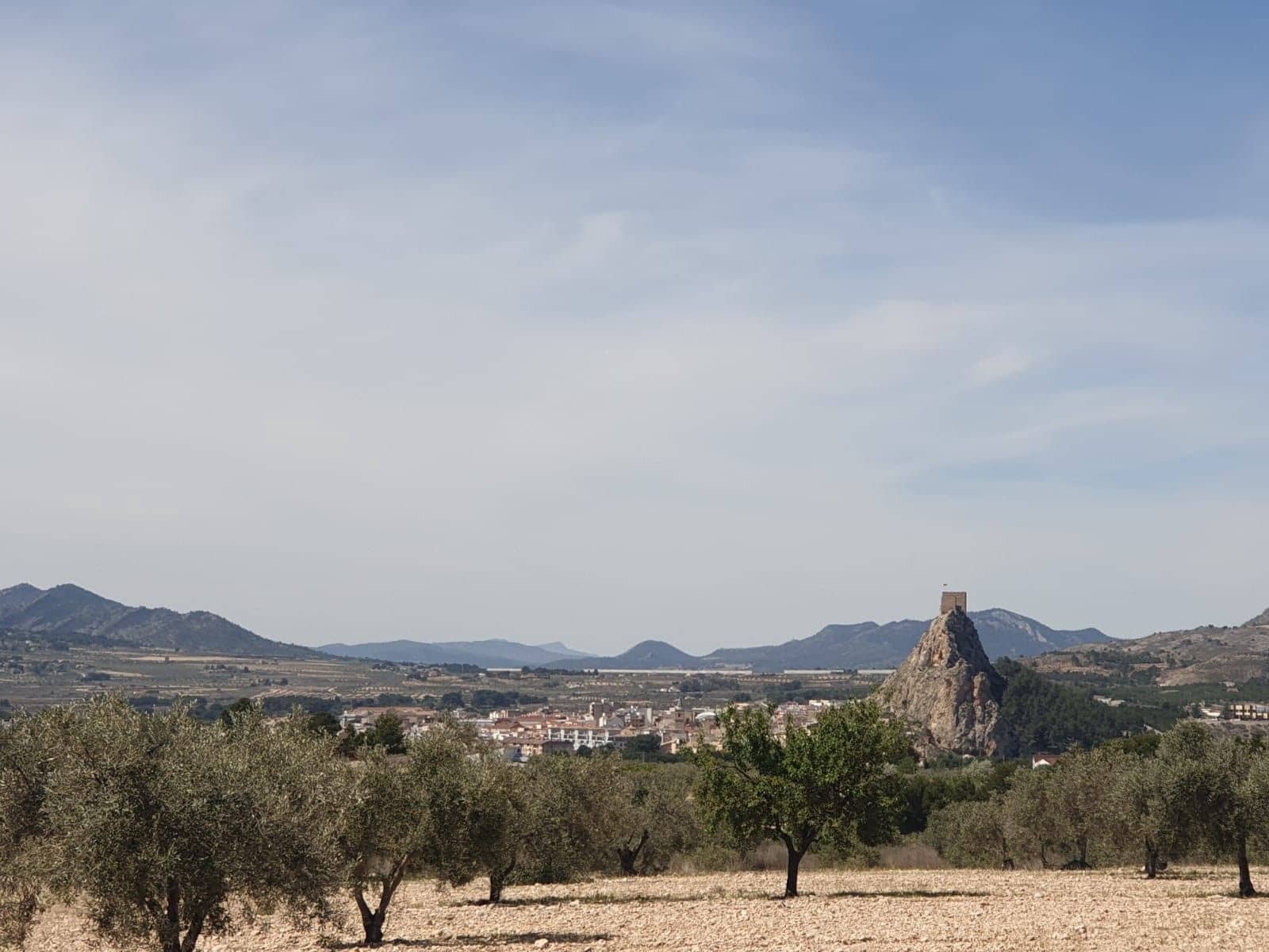 Undeveloped Land for sale in Sax - € 75,995 (Ref: 10012464)