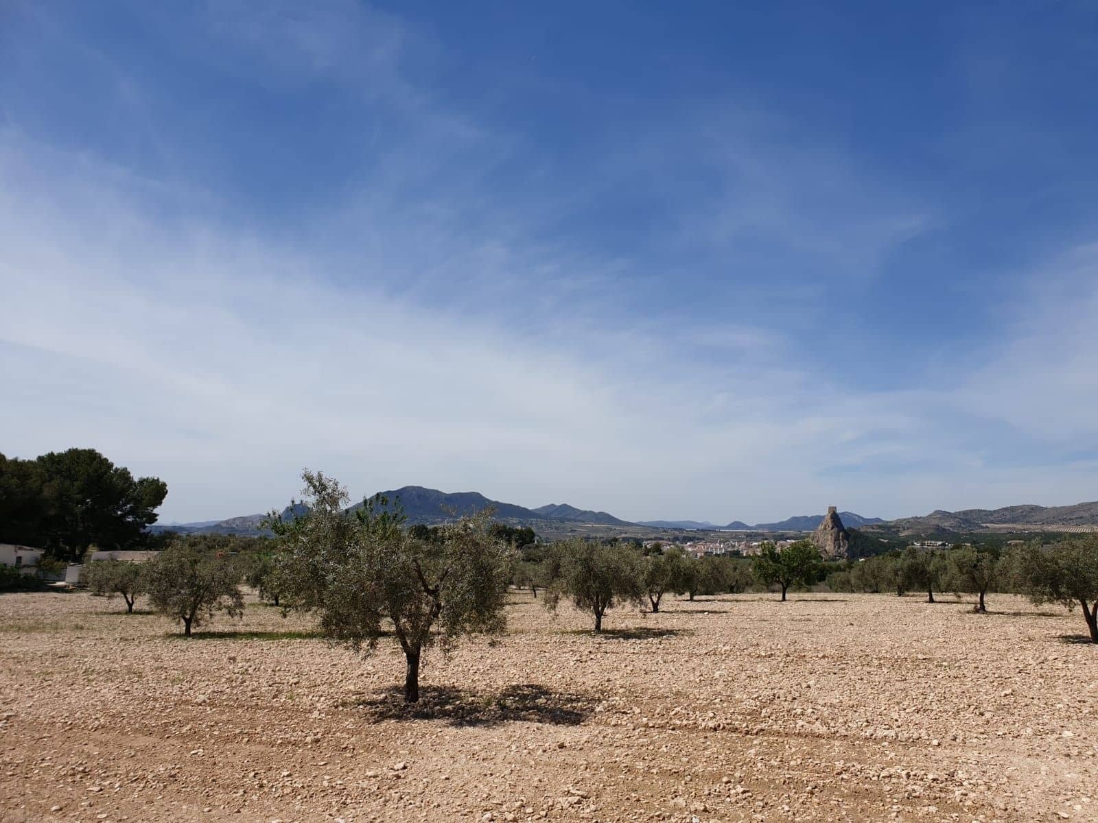 Undeveloped Land for sale in Sax - € 75,995 (Ref: 10012464)