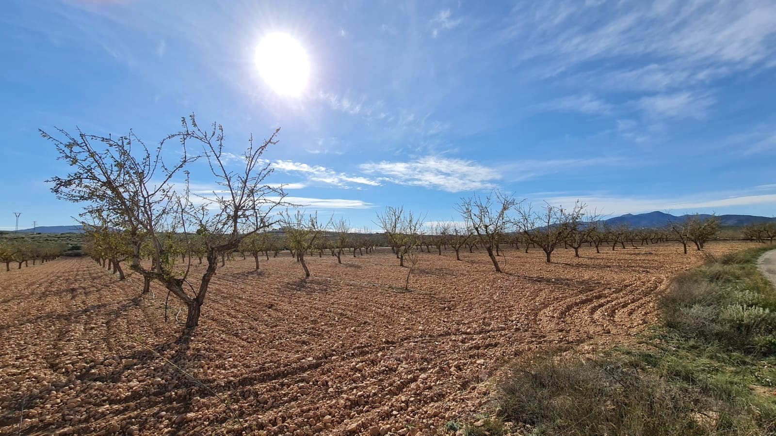 Terreno Não Urbanizado para venda em Lel - 46 995 € (Ref: 10012465)