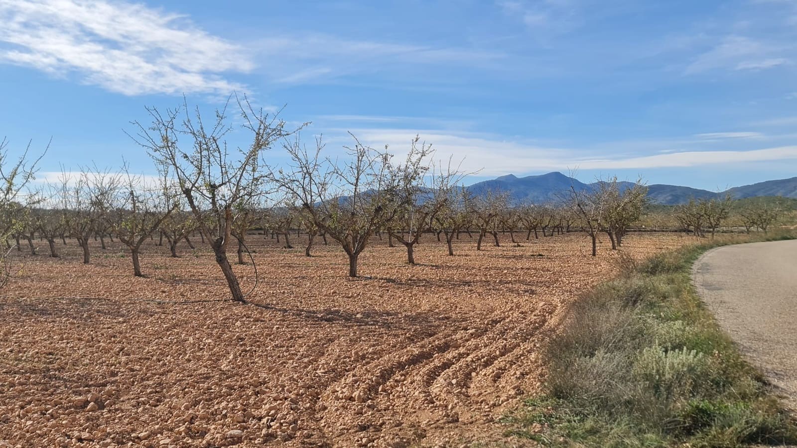 Terreno Não Urbanizado para venda em Lel - 46 995 € (Ref: 10012465)