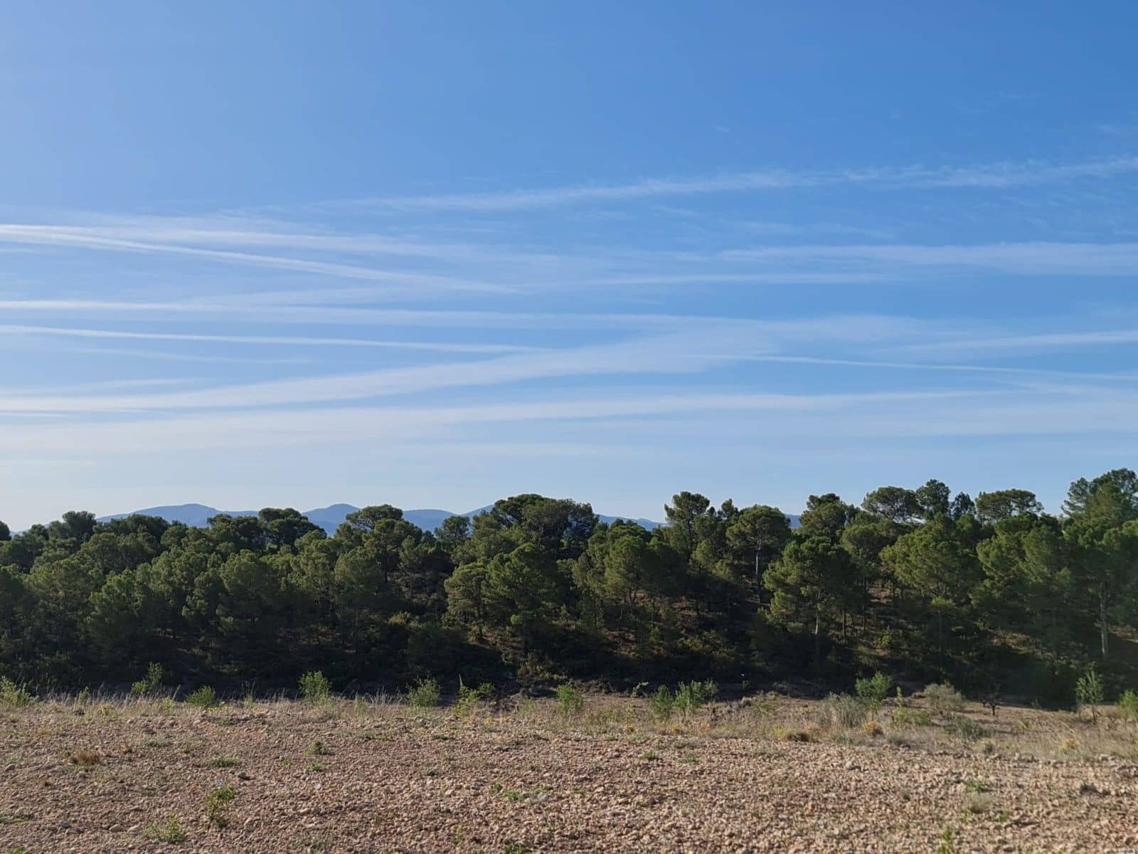 Undeveloped Land for sale in Raspay - € 41,995 (Ref: 10019694)