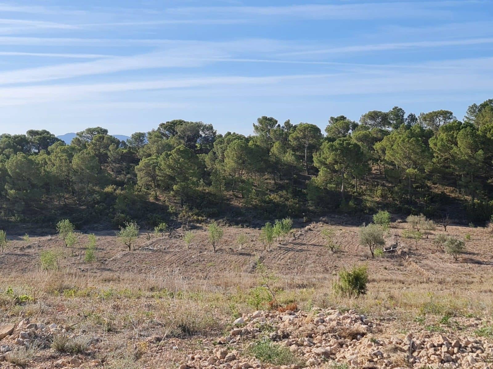 Undeveloped Land for sale in Raspay - € 41,995 (Ref: 10019694)