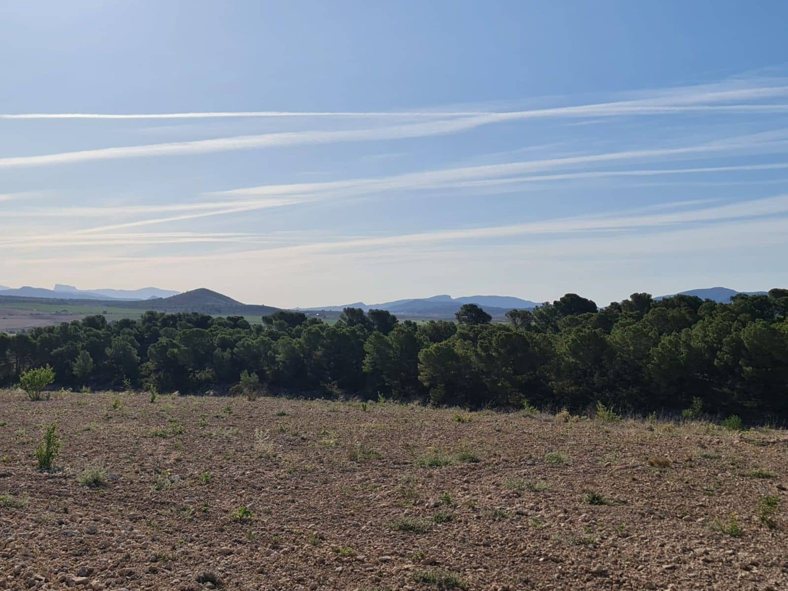 Undeveloped Land for sale in Raspay - € 41,995 (Ref: 10019694)