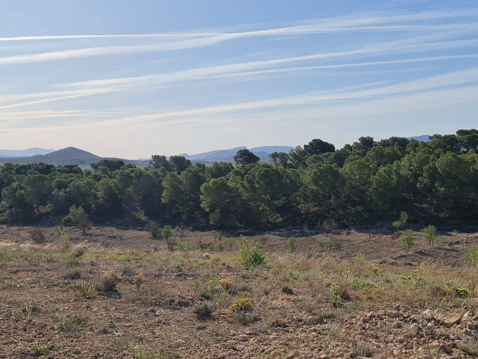 Undeveloped Land for sale in Raspay - € 41,995 (Ref: 10019694)