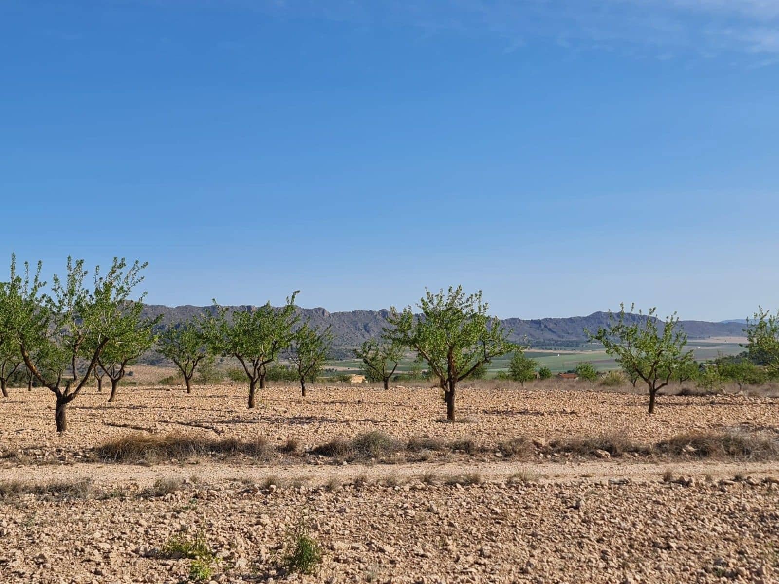 Undeveloped Land for sale in Raspay - € 41,995 (Ref: 10019694)