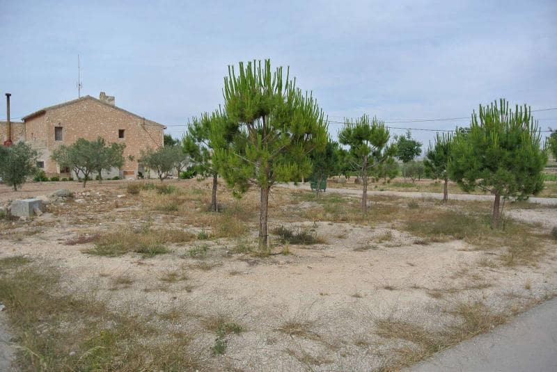 Garage for sale in Pinoso - € 39,995 (Ref: 10033154)