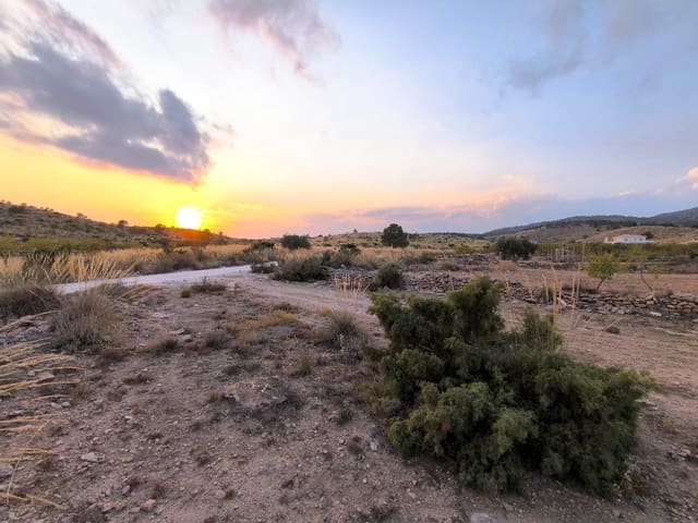 Terreno/Finca Rústica en Pinoso en venta - 25.000 € (Ref: 10034806)