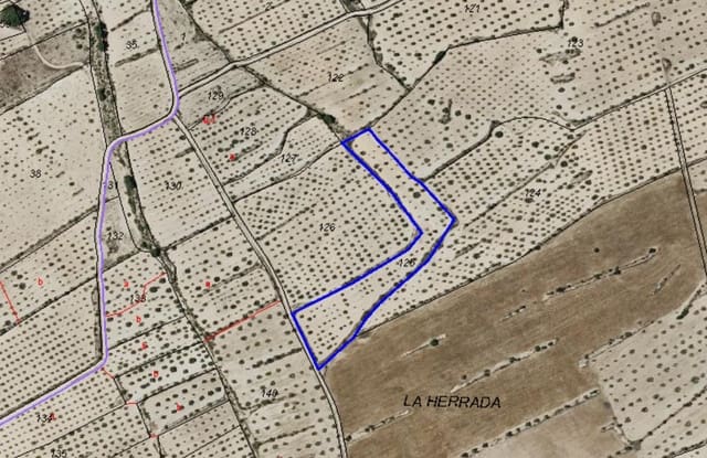 Landgrundstück zu verkaufen in Pinoso - 18.000 € (Ref: 10034807)