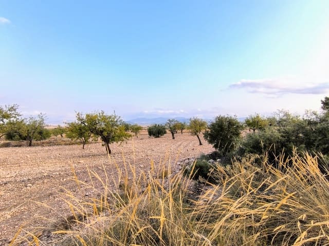 Landgrundstück zu verkaufen in Pinoso - 18.000 € (Ref: 10034807)