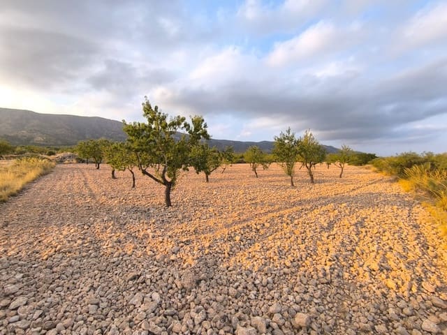 Landgrundstück zu verkaufen in Pinoso - 18.000 € (Ref: 10034807)