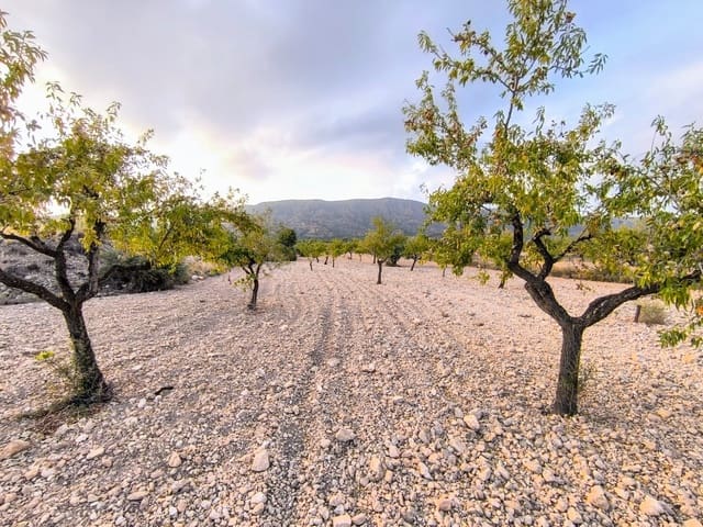Landgrundstück zu verkaufen in Pinoso - 18.000 € (Ref: 10034807)