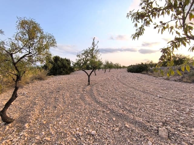 Landgrundstück zu verkaufen in Pinoso - 18.000 € (Ref: 10034807)